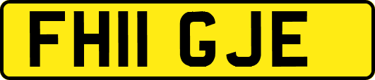 FH11GJE