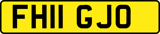 FH11GJO