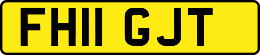 FH11GJT