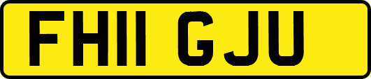 FH11GJU