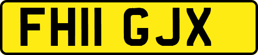 FH11GJX