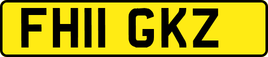 FH11GKZ