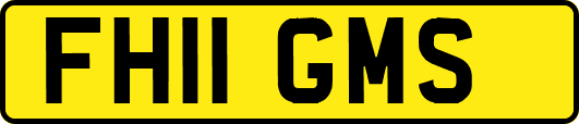 FH11GMS