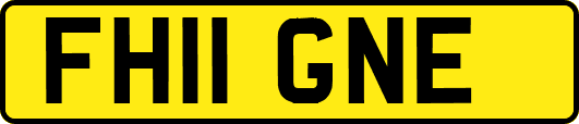 FH11GNE