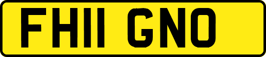FH11GNO