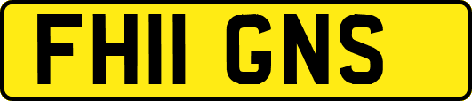 FH11GNS