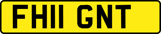 FH11GNT