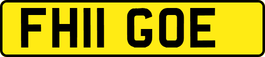 FH11GOE
