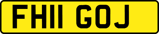 FH11GOJ