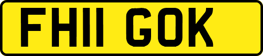 FH11GOK