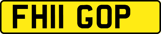 FH11GOP