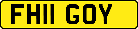 FH11GOY