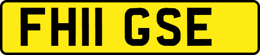 FH11GSE