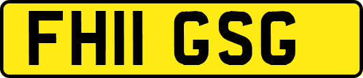 FH11GSG