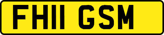 FH11GSM
