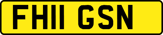 FH11GSN