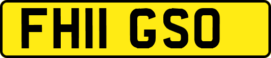 FH11GSO