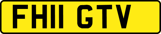 FH11GTV