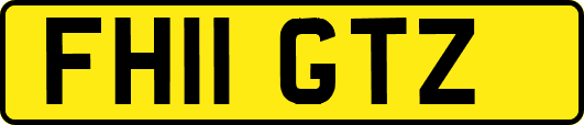 FH11GTZ