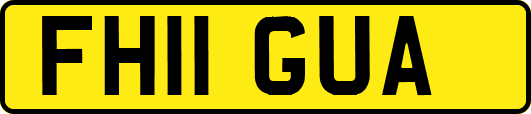 FH11GUA