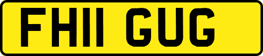 FH11GUG