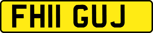 FH11GUJ