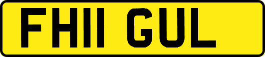 FH11GUL