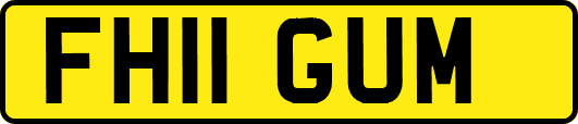 FH11GUM