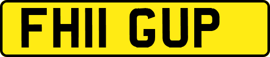 FH11GUP
