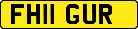 FH11GUR