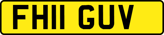 FH11GUV