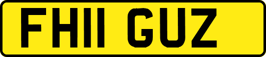 FH11GUZ
