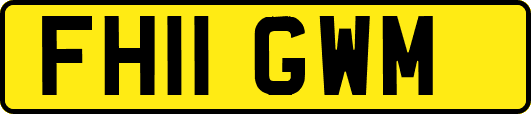 FH11GWM