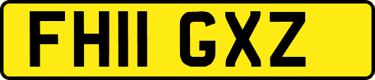 FH11GXZ