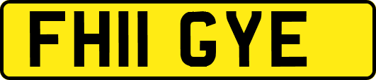 FH11GYE