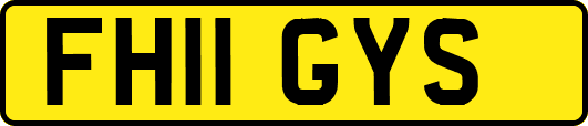 FH11GYS