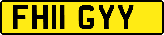 FH11GYY