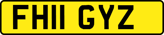 FH11GYZ