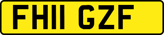FH11GZF