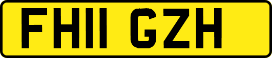 FH11GZH