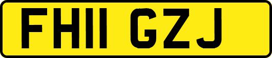 FH11GZJ
