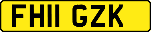 FH11GZK