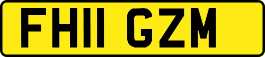 FH11GZM
