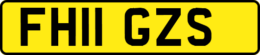 FH11GZS