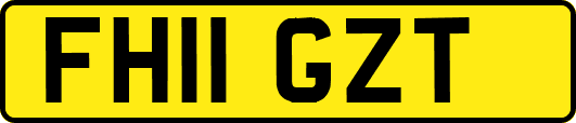 FH11GZT