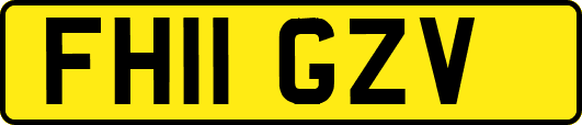 FH11GZV