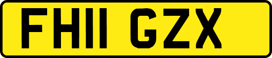 FH11GZX