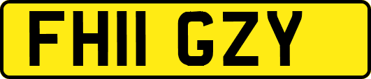 FH11GZY