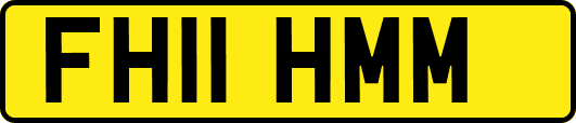 FH11HMM