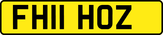 FH11HOZ